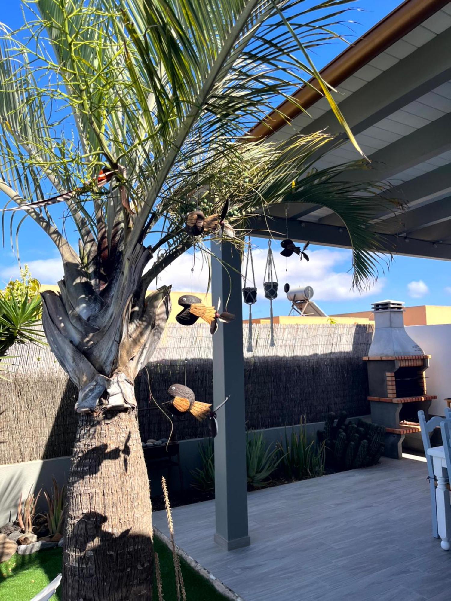 Villa Papi La Oliva Luaran gambar